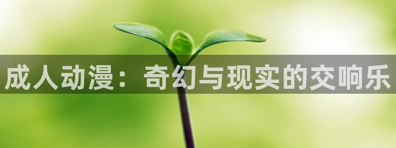 详细里番动漫在线观看：成人动漫：奇幻与现实的交响乐配图