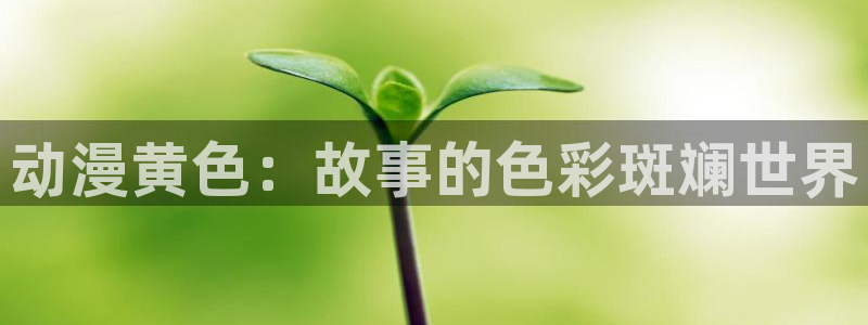 动漫里番手机在线观看:动漫黄色:故事的色彩斑斓世界配图