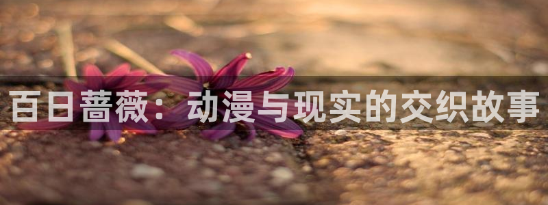 里番动漫在线观看安卓：百日蔷薇：动漫与现实的交织故事配图