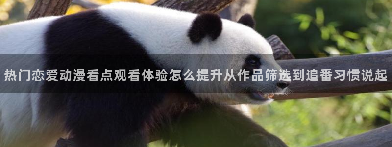 动漫里番 在线观看：热门恋爱动漫看点观看体验怎么提升从作品筛选到追番习惯说起配图