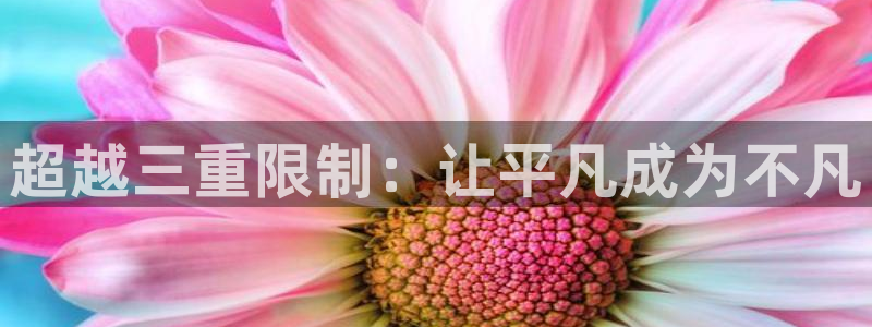 里番动漫网在线观看：超越三重限制：让平凡成为不凡配图