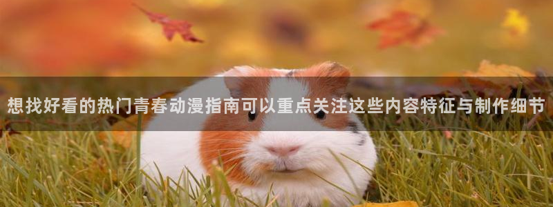 在线观看_里番动漫:想找好看的热门青春动漫指南可以重点关注这些内容特征与制作细节配图