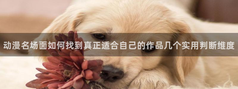 调教里番动漫在线观看:动漫名场面如何找到真正适合自己的作品几个实用判断维度配图
