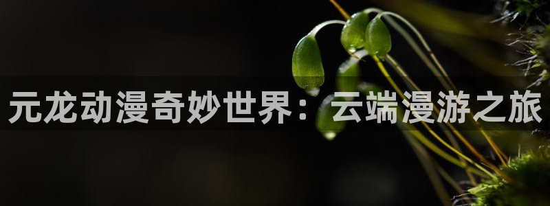 熟肉里番动漫在线观看:元龙动漫奇妙世界:云端漫游之旅配图
