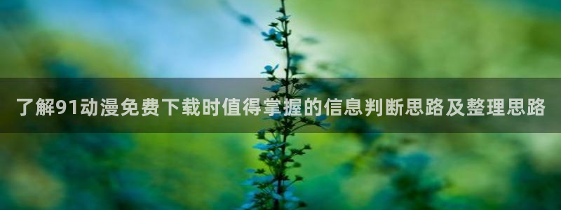 最新里番动漫在线观看:了解91动漫免费下载时值得掌握的信息判断思路及整理思路配图