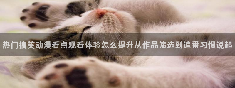 里 番 动漫在线观看:热门搞笑动漫看点观看体验怎么提升从作品筛选到追番习惯说起配图