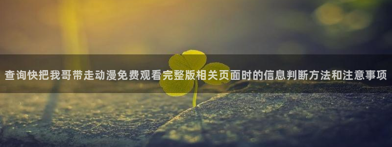 在线观看里番动漫网站:查询快把我哥带走动漫免费观看完整版相关页面时的信息判断方法和注意事项配图