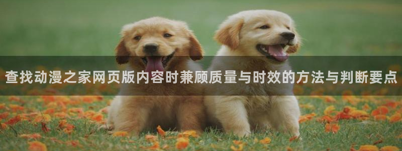里番在线观看全集动漫:查找动漫之家网页版内容时兼顾质量与时效的方法与判断要点配图