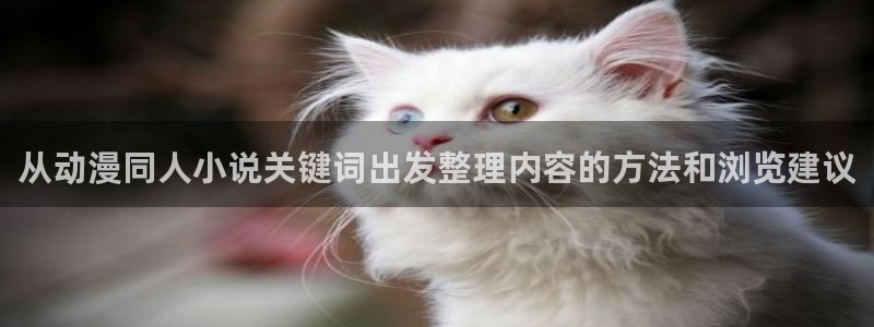 在线观看动漫里番：从动漫同人小说关键词出发整理内容的方法和浏览建议配图